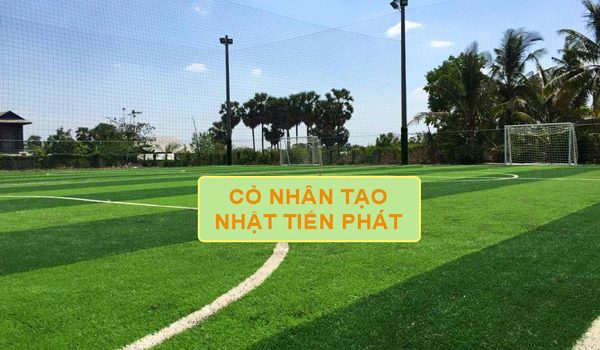 Sân bóng cỏ nhân tạo Club Vĩnh Long - Chi Nhánh Công Ty TNHH Đầu Tư Và Thương Mại Soladecor